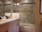 Master Bathroom - Tub and shower combination